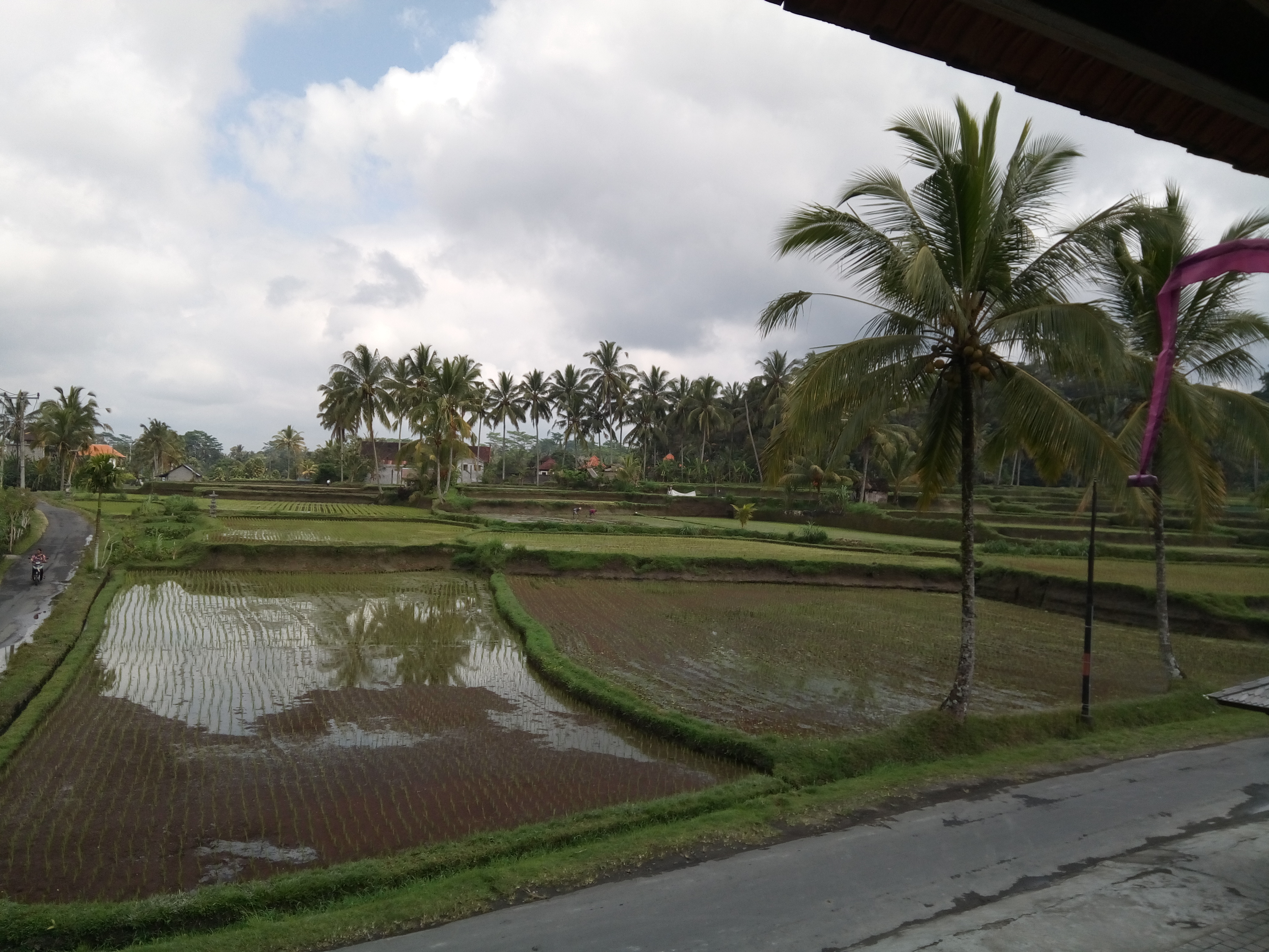 Het uitzicht bij het ontbijt in Dedari Kriyamaha Villa in Ubud