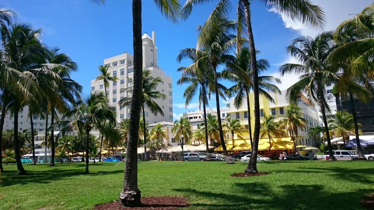 Hoe vraag ik een visum of ESTA aan voor de Verenigde Staten? Bart en Fabian op Reis