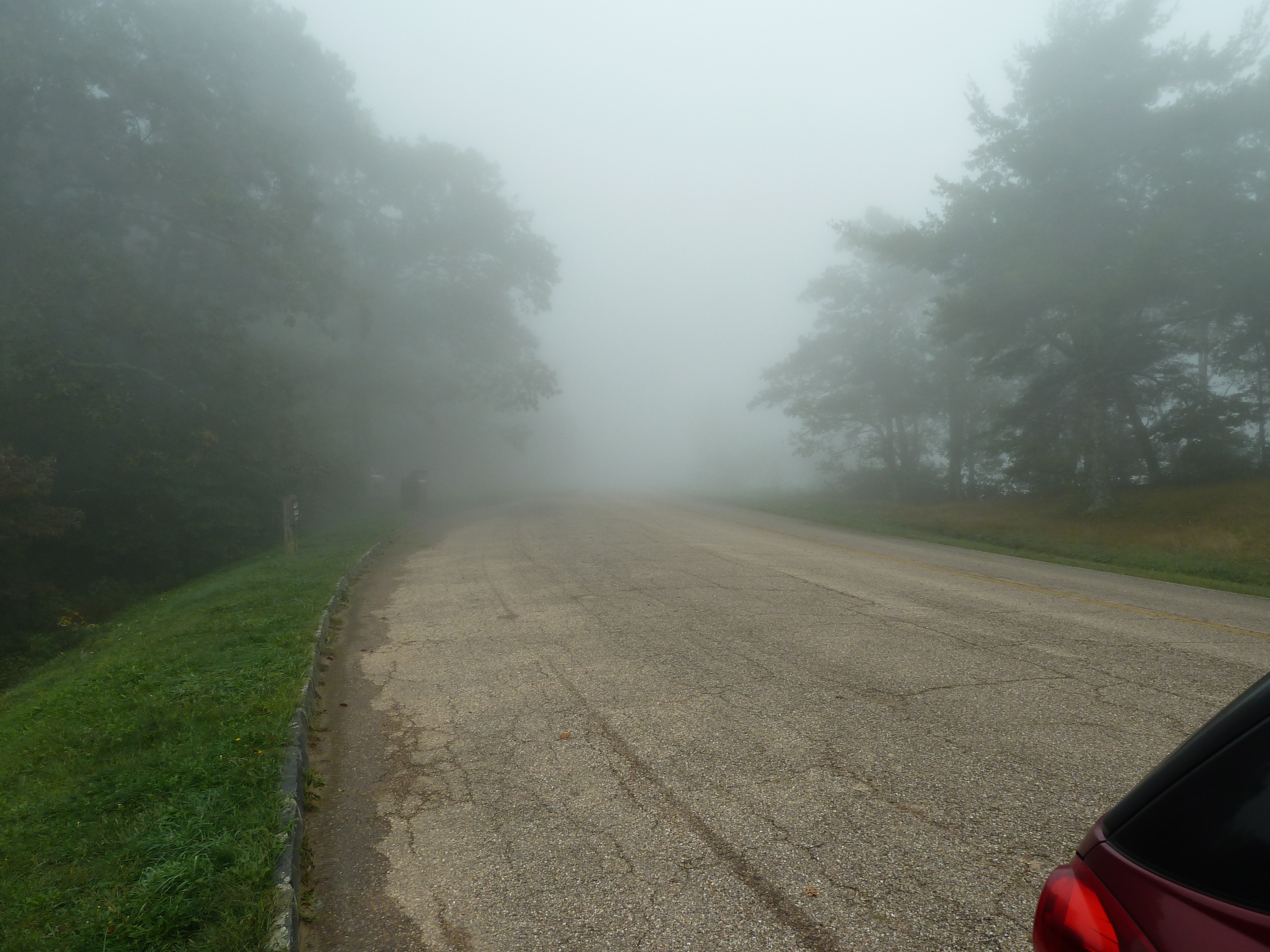 Mist nabij Blue Ridge Parkway