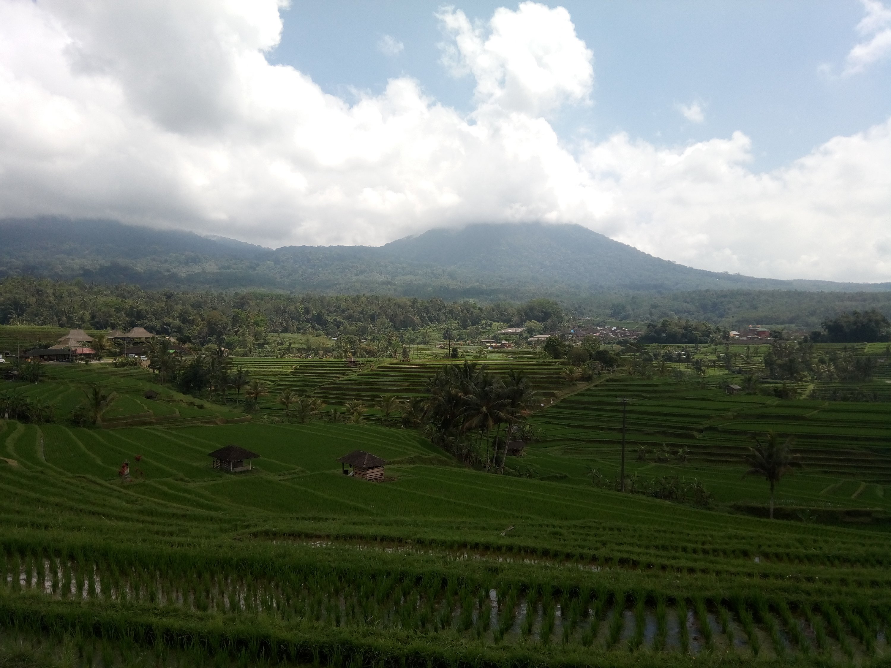 De Jatiluwih rijstvelden op Bali