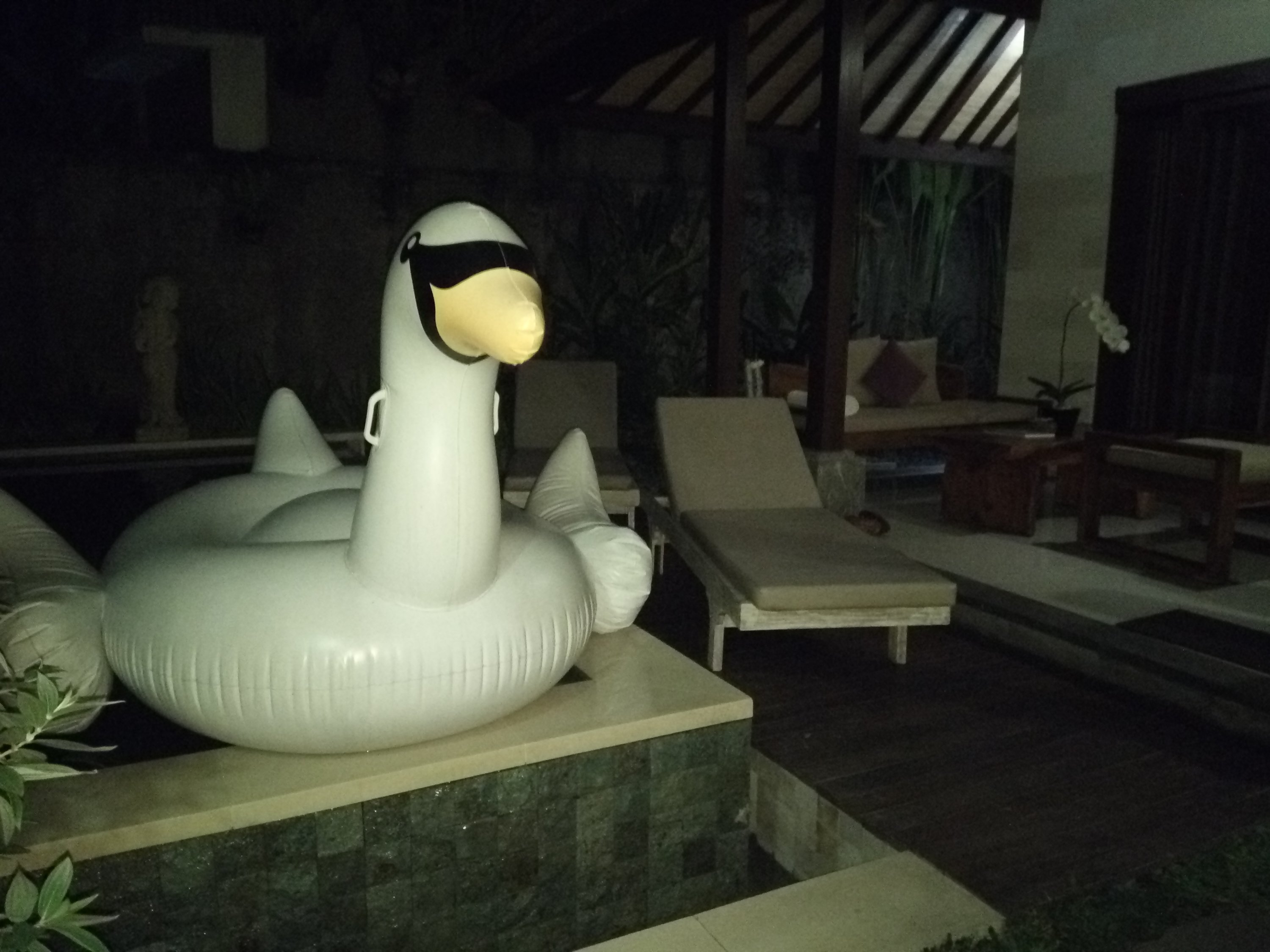De opblaas zwaan in onze villa in Ubud